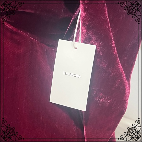 TULAROSA Mini Empire Waist Velvet Dress - Size S / NWT - Picture 10 of 11